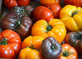 Tomat Heirloom